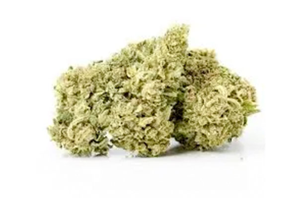 High-CBD-Strains-img1