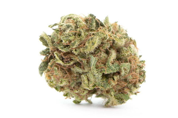 High-CBD-Strains-img3