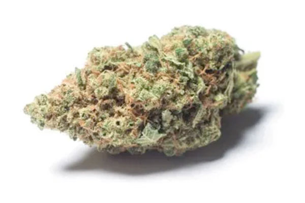 High-CBD-Strains-img7