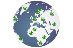 Where In The World Is Cannabis Legal?