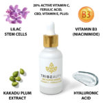 CBD Vitamin C Serum Ingredients