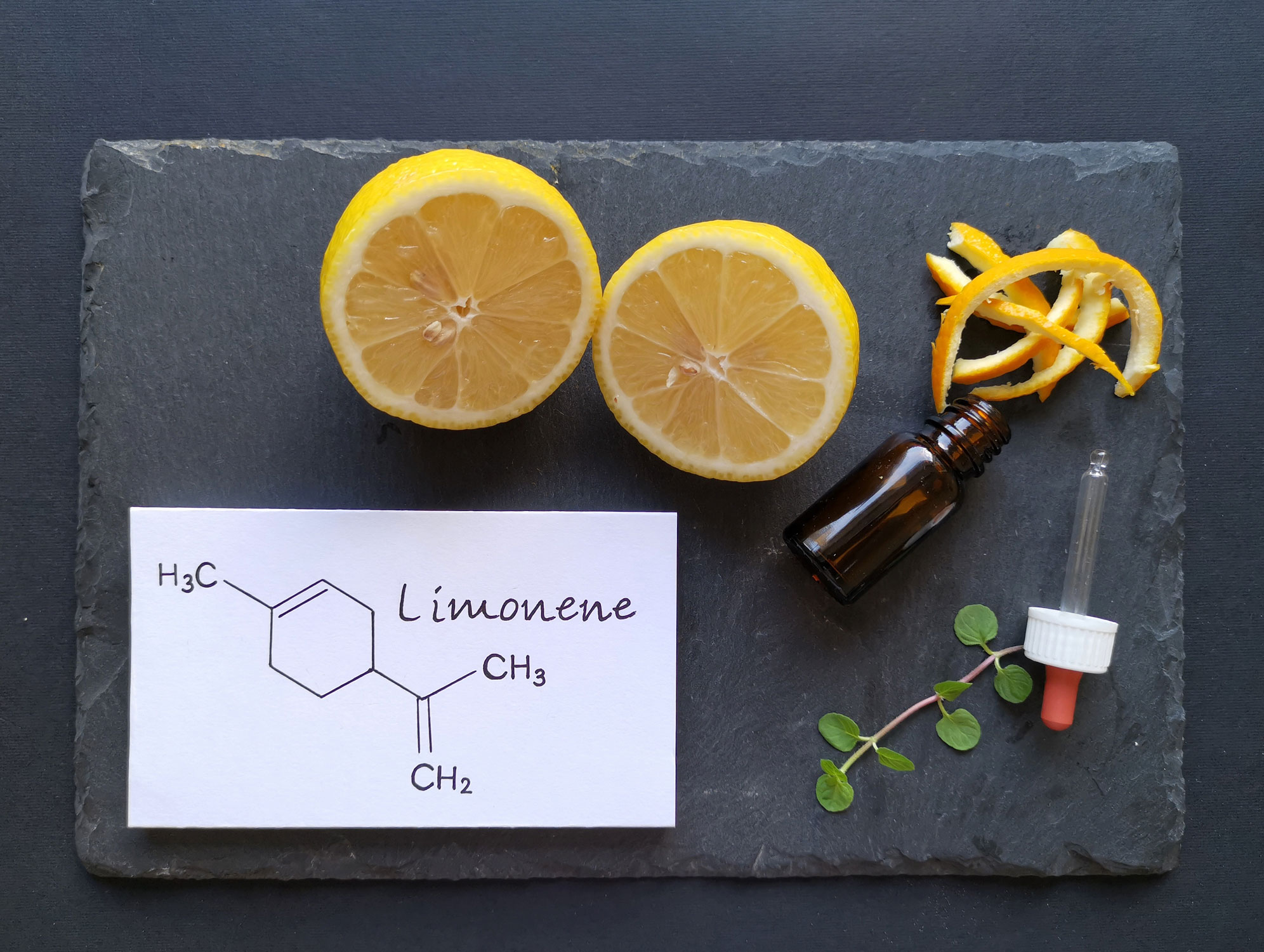 What Is The Terpene D-Limonene? | TribeTokes