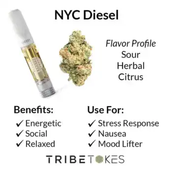 NYC-Diesel-Strain-Profile-1