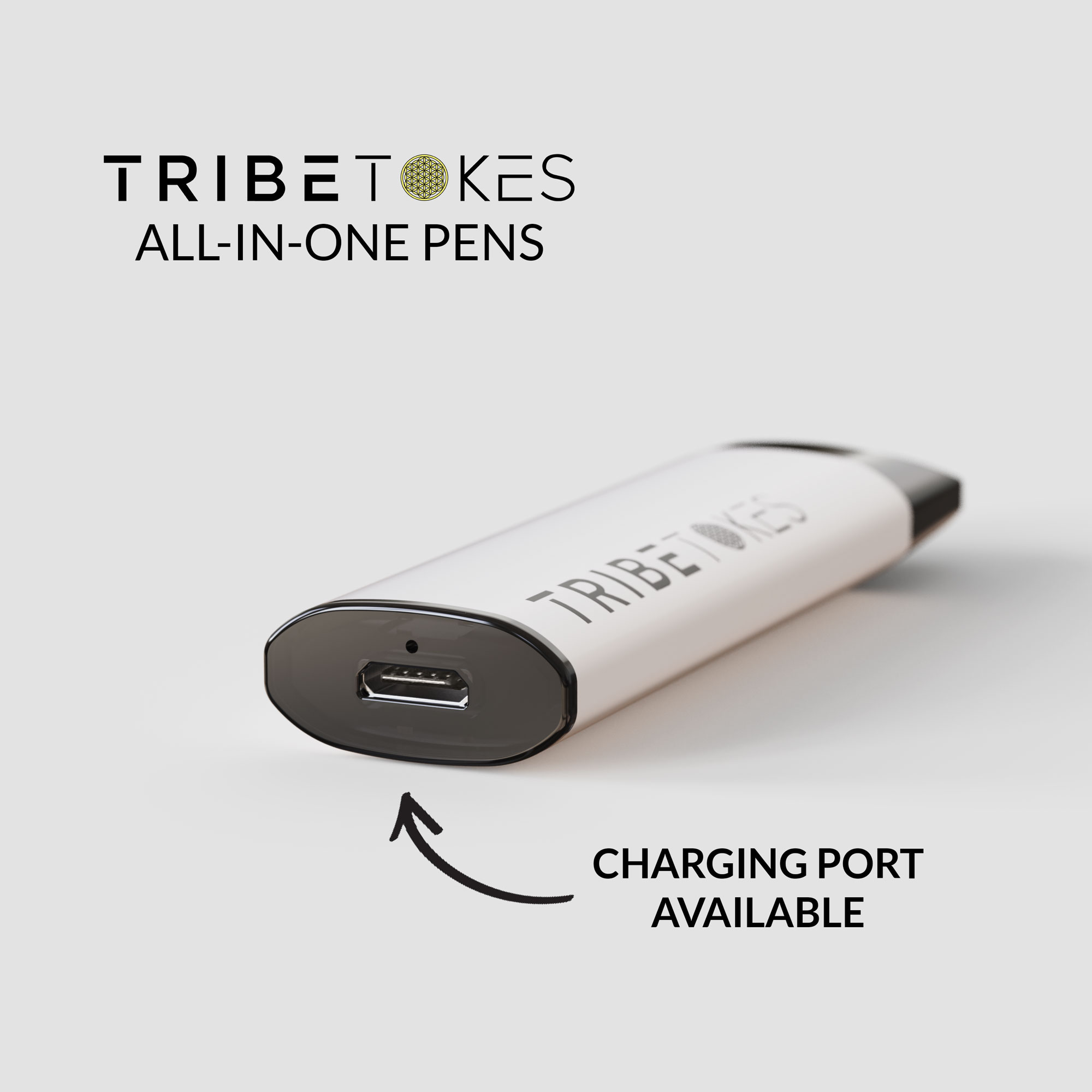 https://tribetokes.com/wp-content/uploads/2021/04/New-Disposables-Charger.jpg