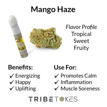 Mango Haze Strain Profile