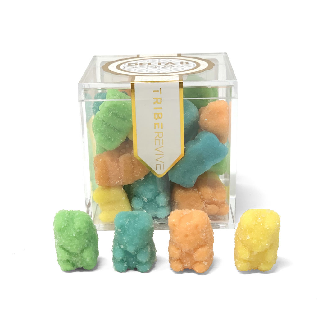 Gummy Edibles Making Kit with Gummy Candy Mixer