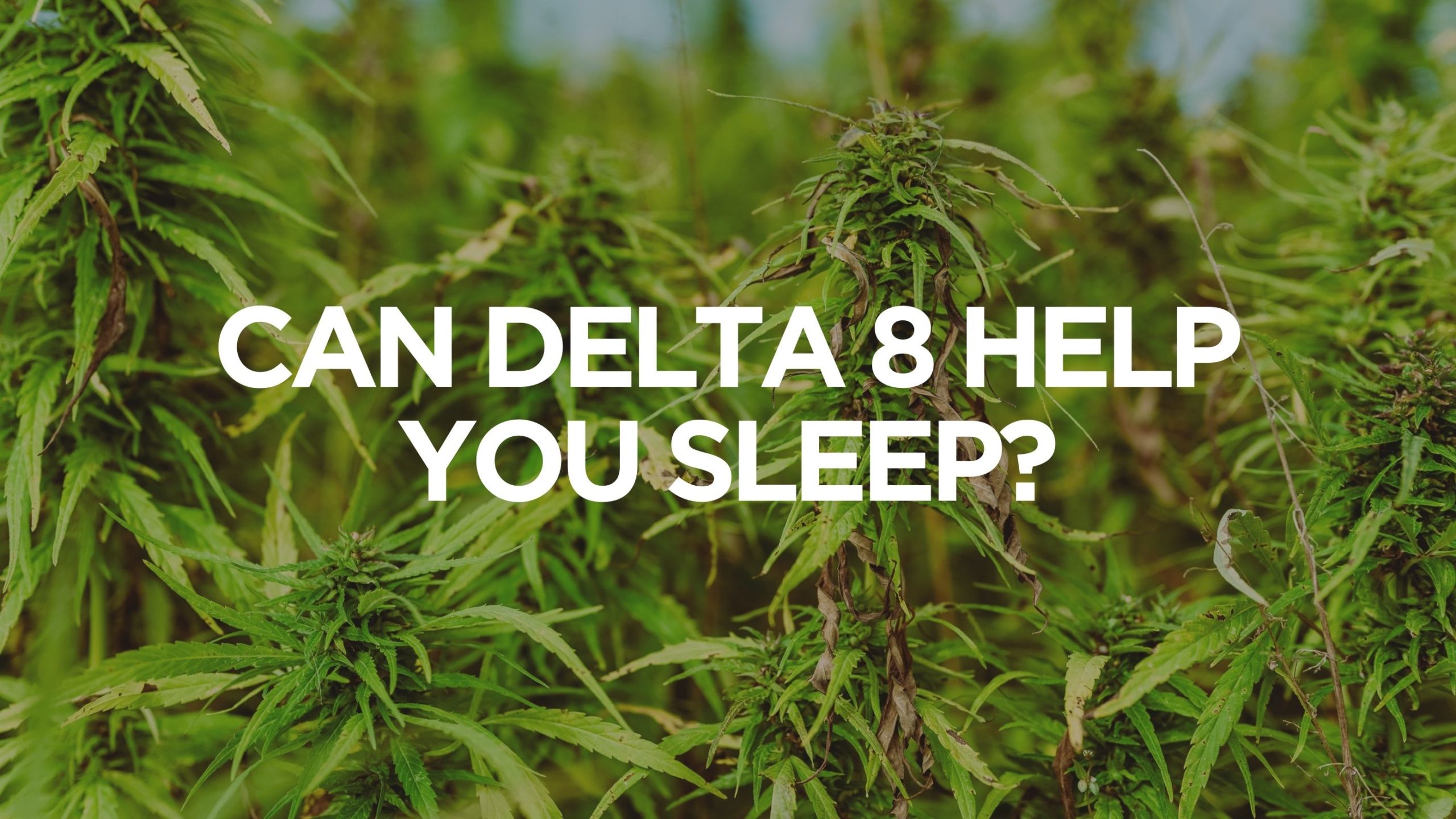 Can Delta 8 Help You Sleep