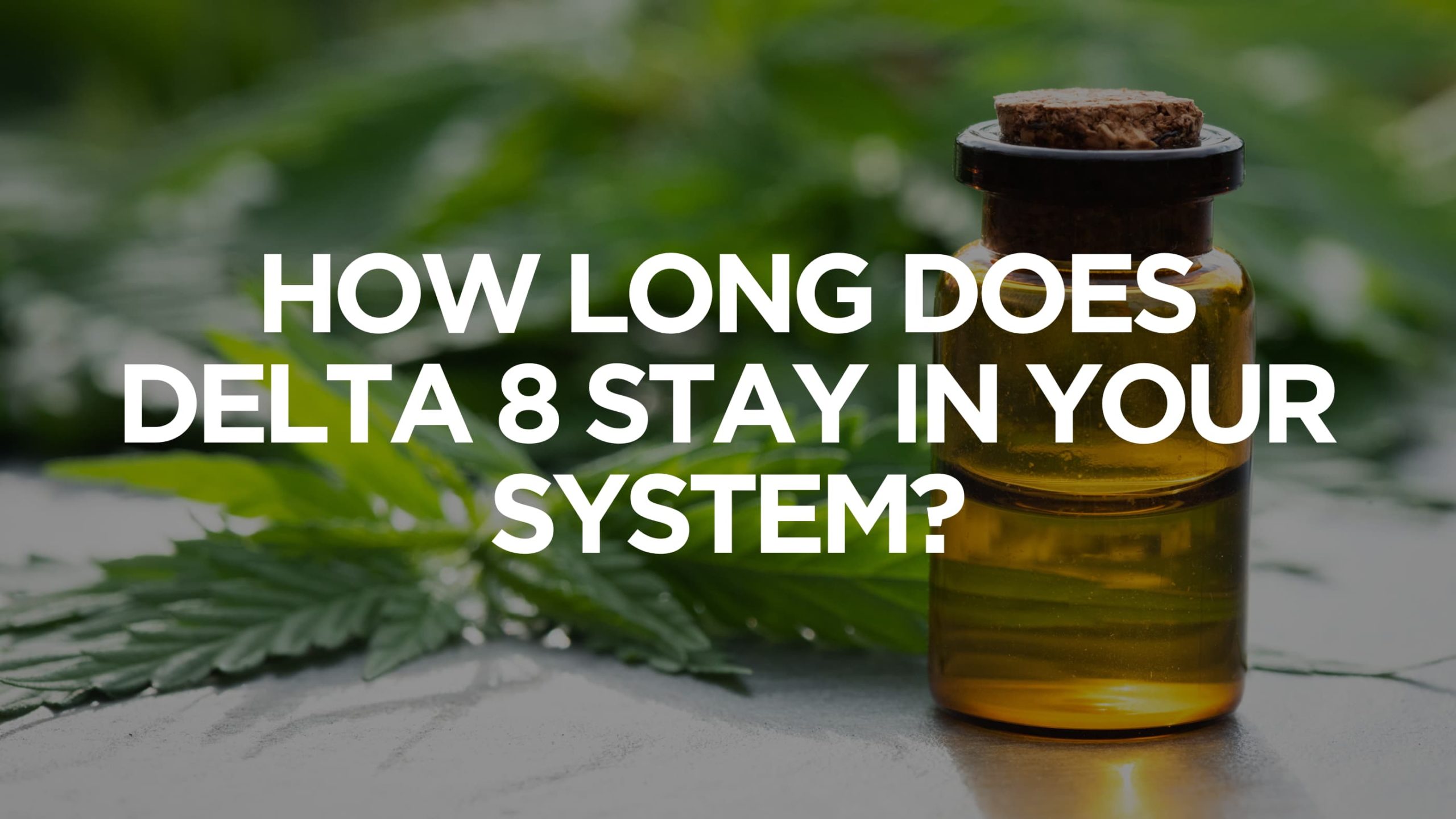 How Long Does Delta 8 Stay in Your System? TribeTokes