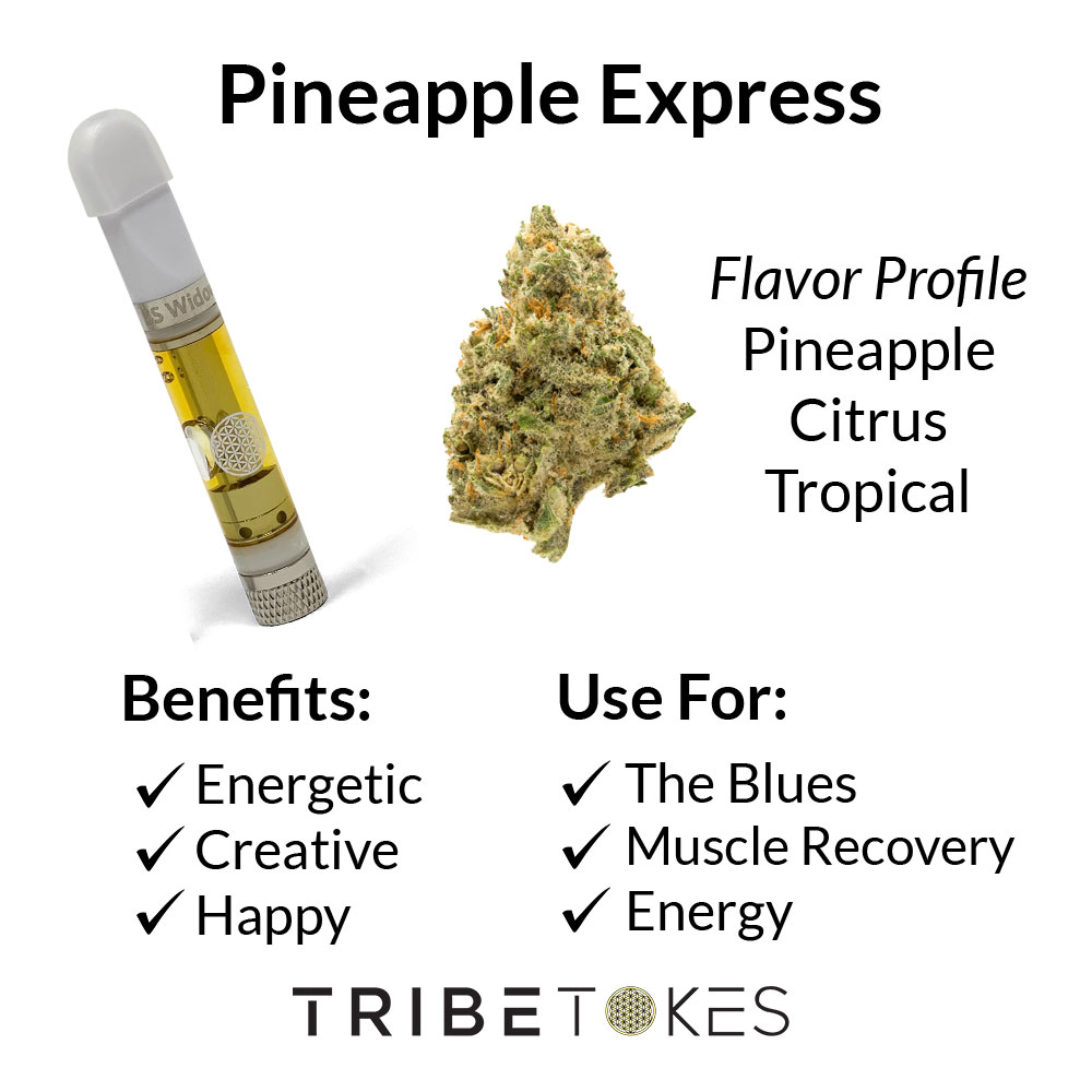 pineapple express weed plant