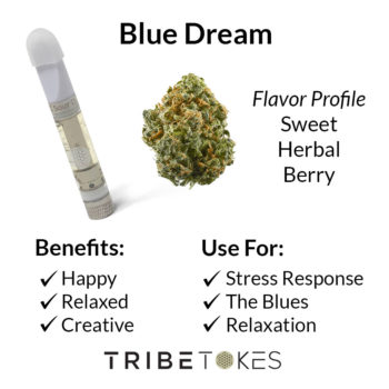 Blue-Dream-Strain-Profile