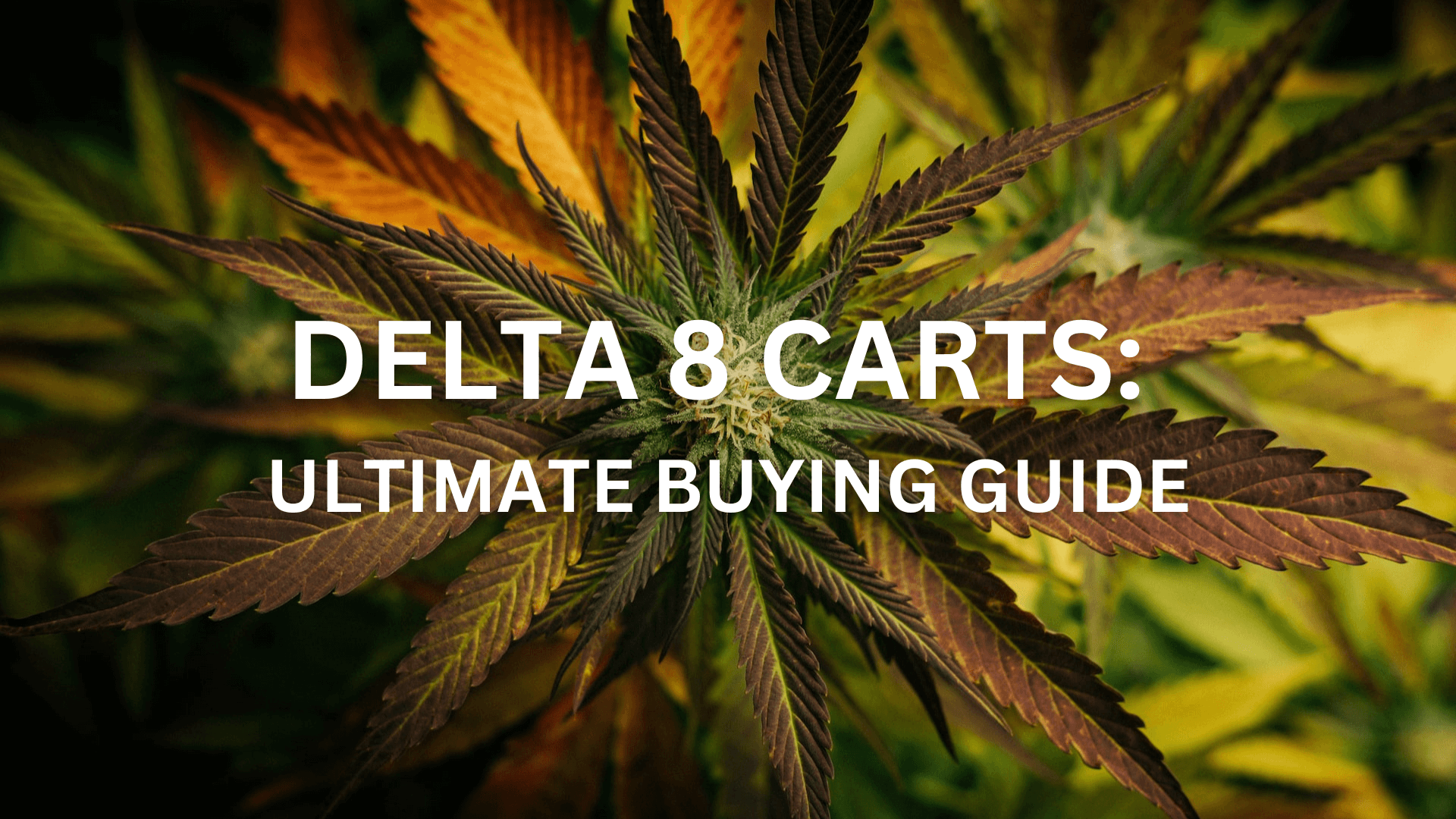 delta-8-carts-ultimate-buying-guide