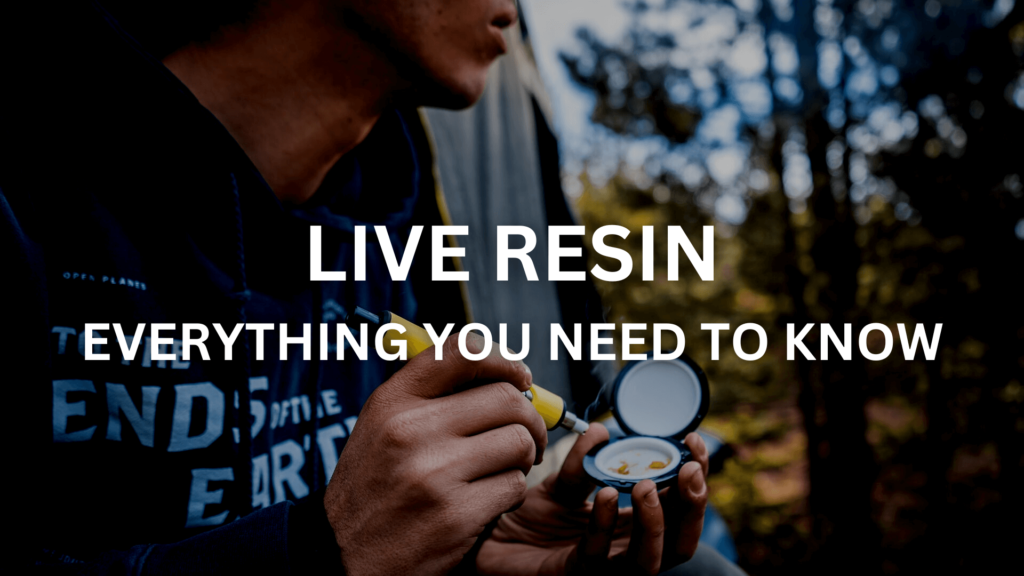 live-resin-everything-you-need-to-know