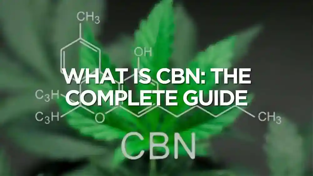what-is-cbn-the-complete-guide-for-this-minor-cannabinoid