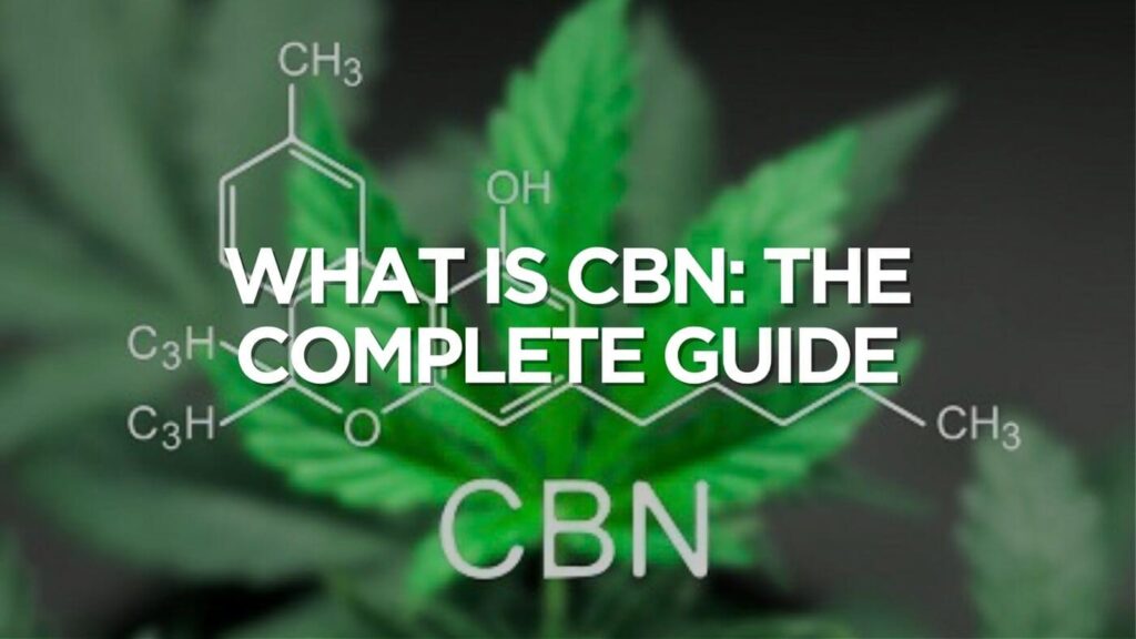 What is CBN: The Complete Guide For This Minor Cannabinoid