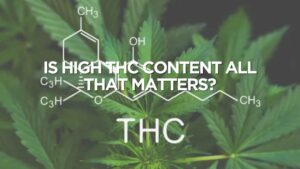 Is High THC Content All That Matters?