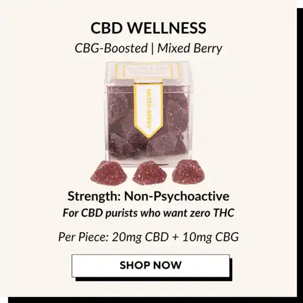 Guide-to-TribeTokes-Gummies-CBD-CBG_Wellness