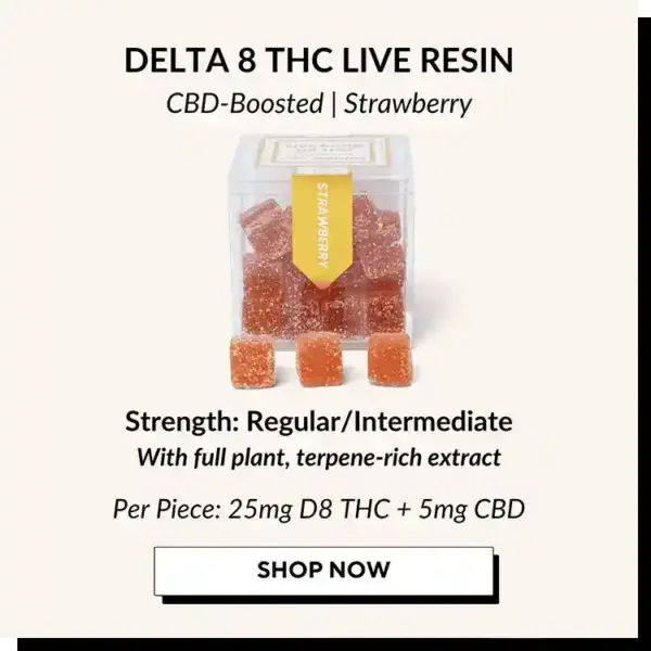 Guide-to-TribeTokes-Gummies-Delta-8-THC-Live_Resin