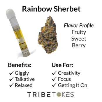 Rainbow Sherbet Strain