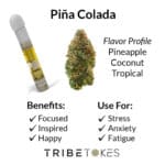 Pina Colada Strain