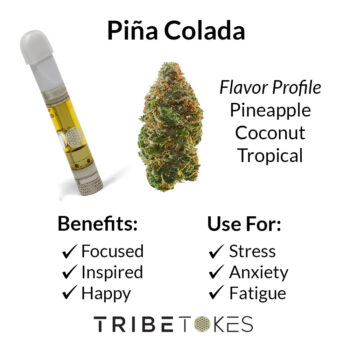 Pina Colada Strain