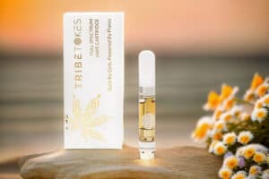 TribeTokes On Da Beach