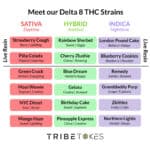 You Pick 3: Delta 8 THC Vape Carts | Mix + Match 3 Strains (Save $30) - Image 2