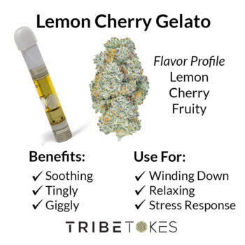 Lemon Cherry Gelato Strain