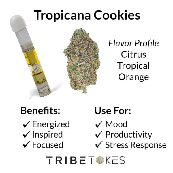 Tropicana Cookies Strain Profile