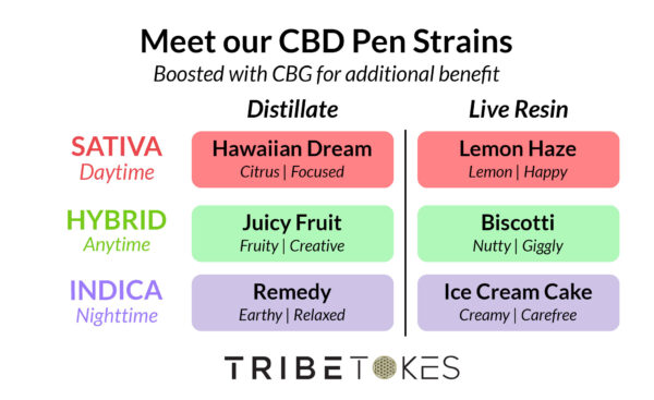 CBD Disposable Vape Pen | 1.0 mL, Full Spectrum - Image 2