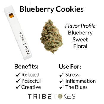 Blueberry Cookies Disposable Vape Strain