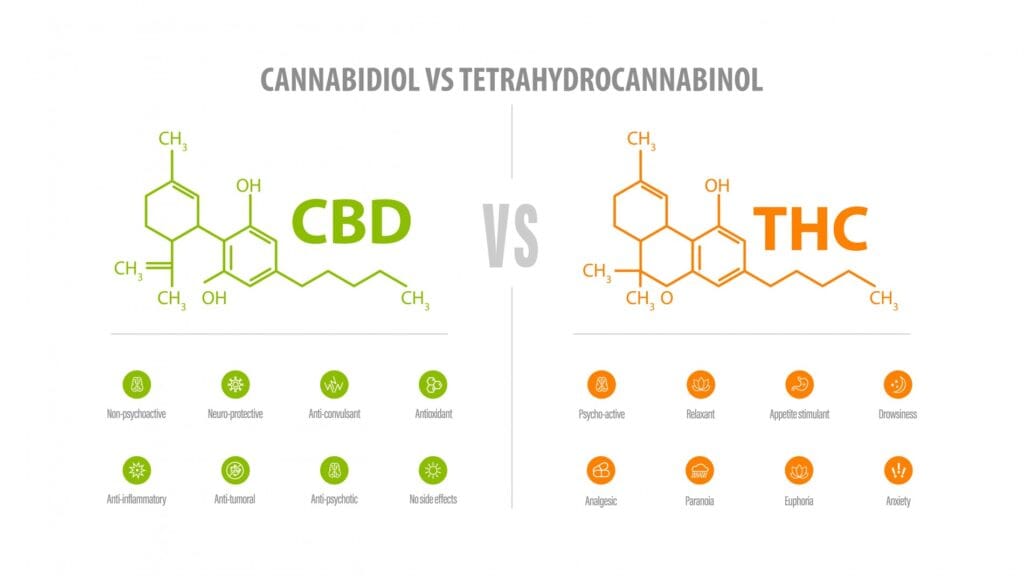 CBD vs THC