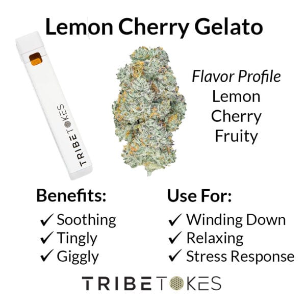 Lemon Cherry Gelato Disposable Vape Strain