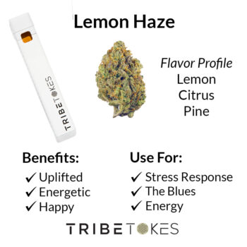 Lemon Haze Disposable Strain Profile