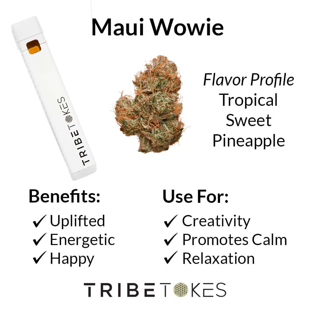 Maui Wowie Disposable Vape Strain