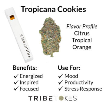 Tropicana Cookies Disposable Vape Strain