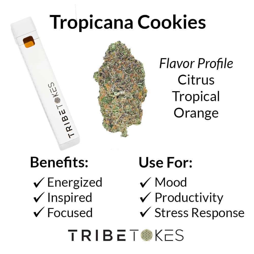 Tropicana Cookies Disposable Vape Strain