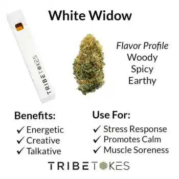 White-Widow-Dispo-Strain-Profile