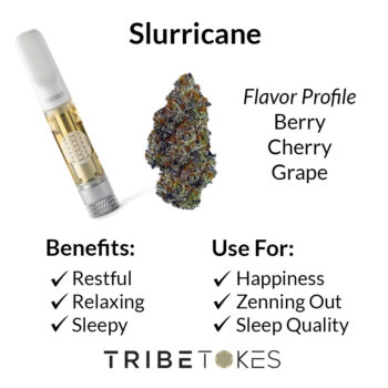 Slurricane Strain Profile