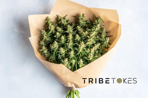 TribeTokes gift card featuring a cannabis flower bouquet design, great for gifting CBD vapes, tinctures, and pain creams.