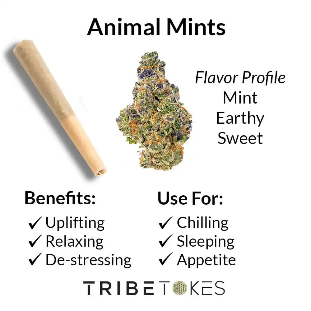 Animal-Mints_FLOWER_Strain-Profile