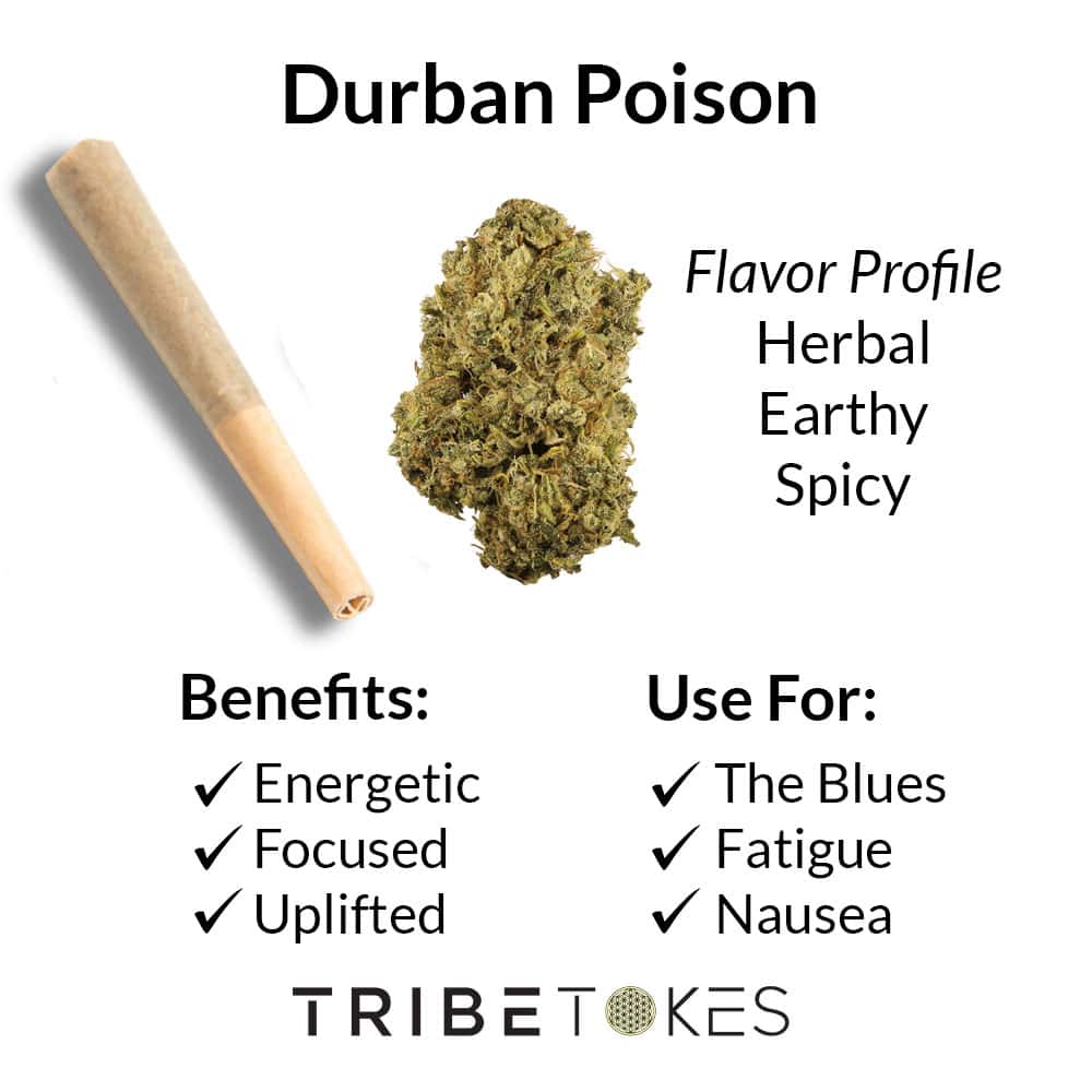 Durban Poison Flower Strain Profile