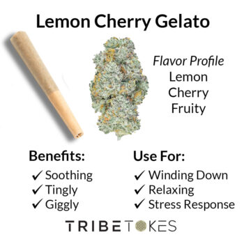Lemon Cherry Gelato FLOWER Strain Profile