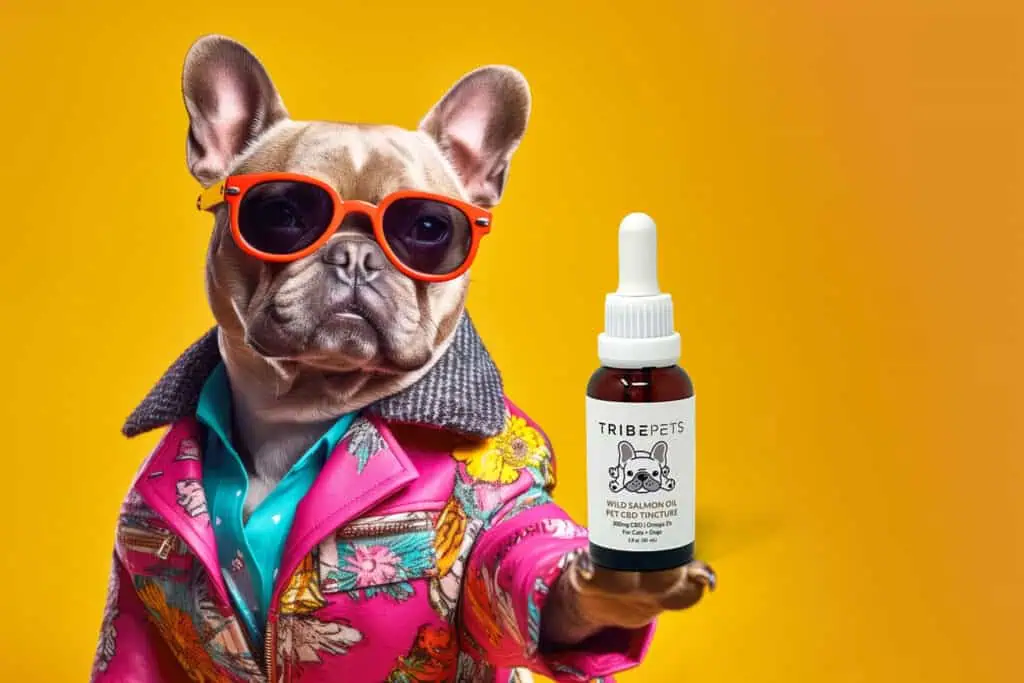 A picture of a dog holding a bottle of Tribe Tokes’ Pets Wild Salmon Pet CBD Tincture.