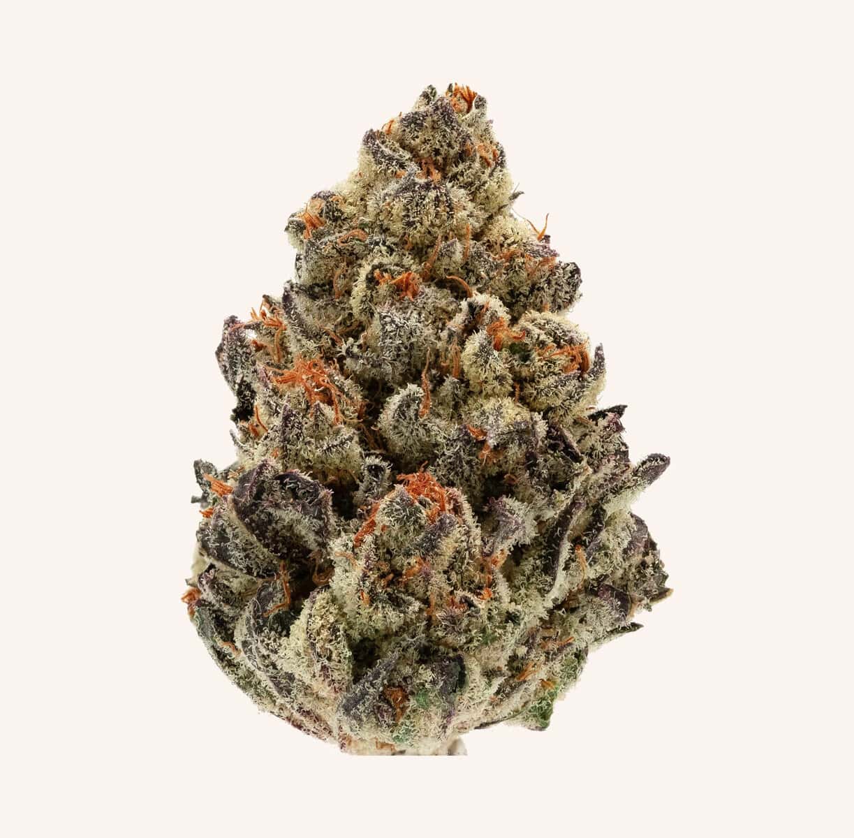 Finely trimmed THCa Bud