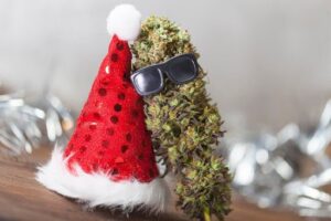 THCA cannabis flower bud with sunglasses and red Santa hat, showcasing festive cannabis culture.