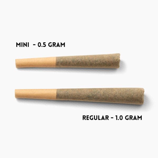 THCA Prerolls 5-Pack | Choose Regular (1.0g) or Mini (0.5g) - Image 3