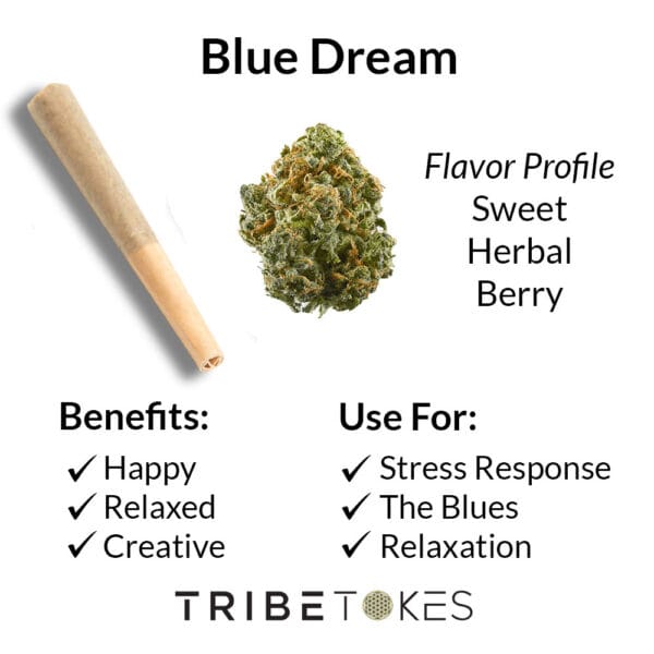 Blue Dream THCA Flower Strain Profile