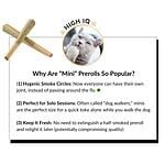 Why Are Mini Prerolls So Popular?