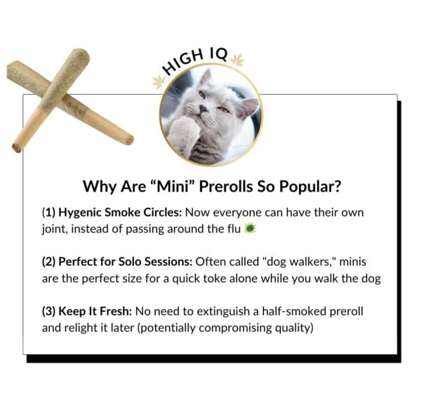 Why Are Mini Prerolls So Popular?
