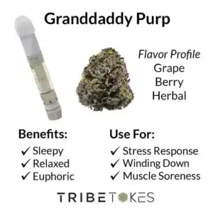 Granddaddy-Purp-Strain-Profile-1